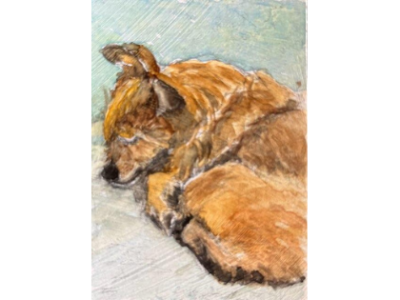Dogs in Detail - Acrylic Paint Class