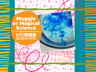 Kidcreate Studio - Eden Prairie. Muggle or Magical Science Workshop (5-12 Years)
